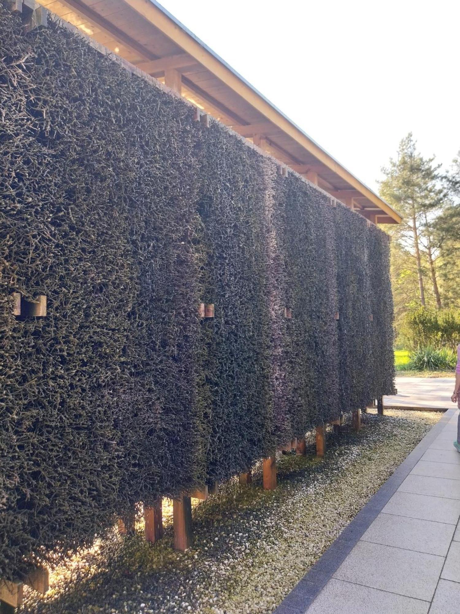 Apartament Orla Chata Świnoujście Exteriör bild